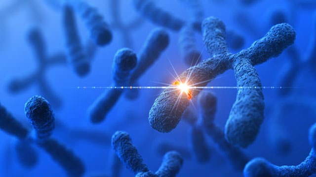Milyen típusai ismertek a rákkal összefüggő genetikai hibáknak?