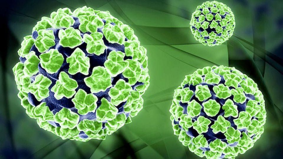 Lehetek-e rákos, ha negatív a HPV-tesztem? - EgészségKalauz
