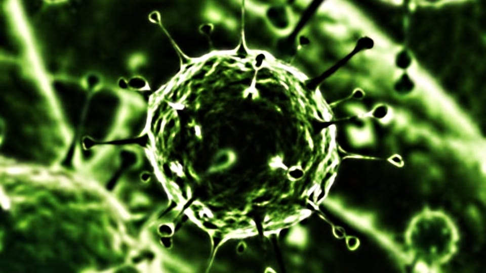A humán papillómavírus és a rák - Istenhegyi Géndiagnosztika