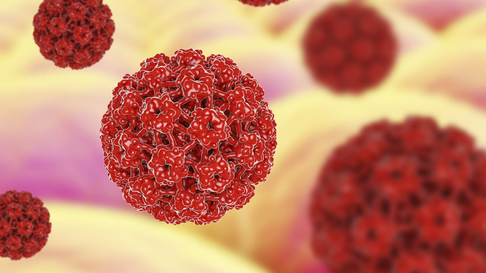 A HPV-fertőzés lehetséges jelei